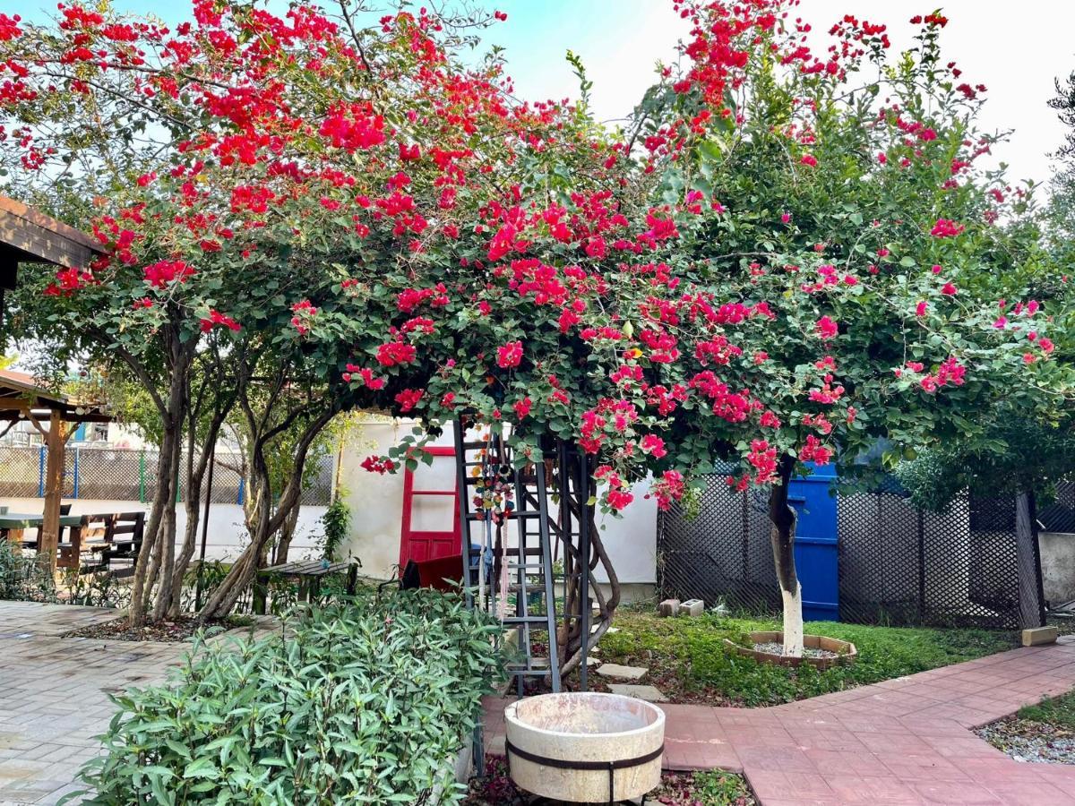 Betul Guest House Famagusta  Exterior photo