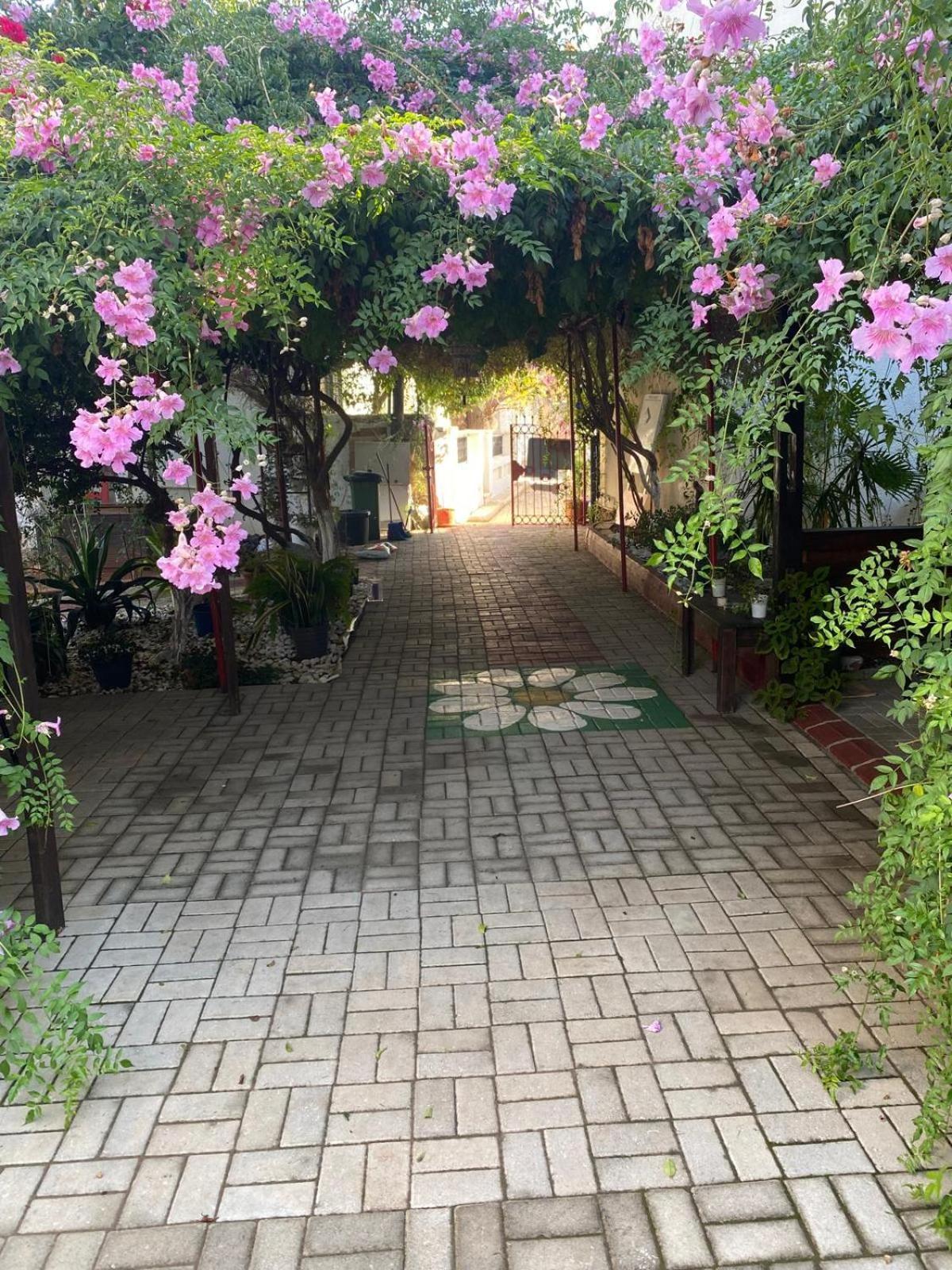 Betul Guest House Famagusta  Exterior photo